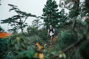 BIB: 
                            <button type="button" onclick="openModal(25260896)" class="btn btn-primary btn-sm float-right btn-popup" data-toggle="modal" data-target=".modal-high-quality">
                        <i class="fas fa-shopping-cart"></i> Add to Cart
                    </button>
                                            <button type="button" onclick="isThisMe(25260896, true)" class="btn btn-success btn-sm float-right btn-popup btn-isme hidden" data-toggle="tooltip" data-placement="bottom" title="นี่คือรูปของคุณใช่ไหม คลิกที่นี่เพื่อเอาเข้าอัลบั้ม">
                        <i class="fas fa-plus"></i> Add to album
                    </button>
                    <button type="button" onclick="isThisMe(25260896, false)" class="btn btn-warning btn-sm float-right btn-popup btn-isnotme hidden">
                        <i class="fas fa-ban"></i> Remove from album
                    </button>